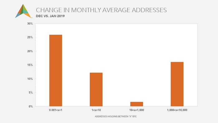 Bar chart showing the average monthly change with a range of bitcoin addresses as of December 2019.