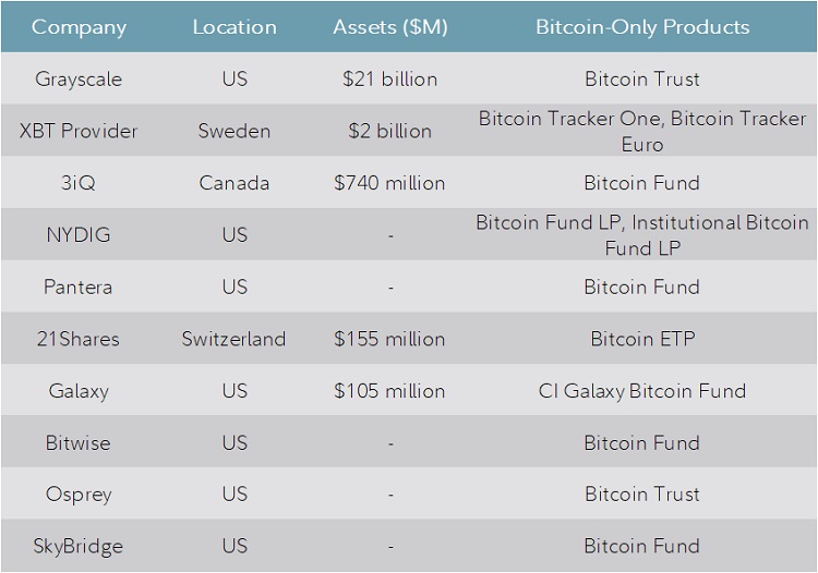 Table showing bitcoin allocation by Corporates and Institutional Investors, location, and assets under management.