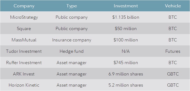 Table showing investors by type, investment dollars, and bitcoin vehicle.